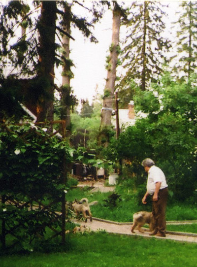 11_400.jpg